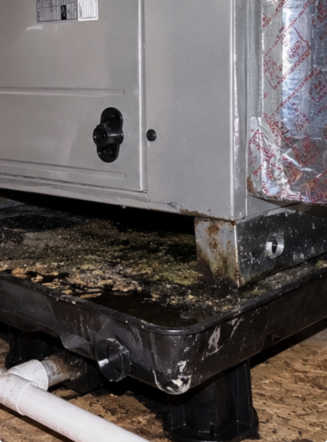 Condensate drain issue causing musty AC smell in Carlsbad CA home
